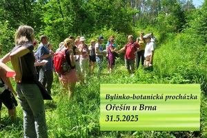 bylinko botanicka prochazka oresin u Brna 31 5 2025