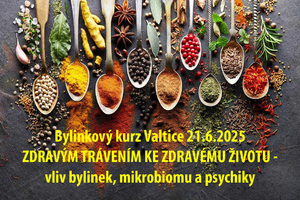 bylinkovy kurz valtice 21 6 2025 zdravym travenim ke zdravemu zivotu vliv bylinek mikrobiomu a psychiky 