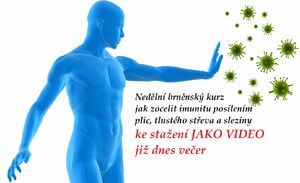online prednaska jak zocelit imunitu posilenim plic tlusteho streva a sleziny aneb jak byt zdravi nejen na podzim a v zime hlavni