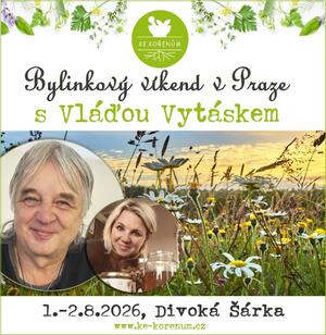 praha srpen 2026