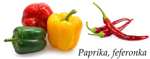 paprika feferonka feferony ucinky na zdravi co leci pouziti uzivani vyuziti pestovani skudci a nemoci paprik